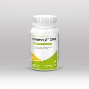 CARPRODYL 100 X 20 TAB