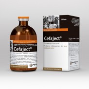 Cefaject® x 250 ml - Vencimiento 09.01.23