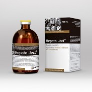 HEPATO-JECT X 100 ML