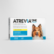 Atrevia® One Medium