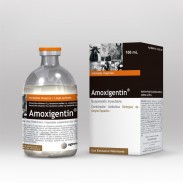 AMOXIGENTIN X 100 ML (HY)