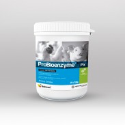 Probioenzyme® Px