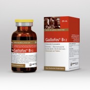 GALLOFOS B12 X 20 ML